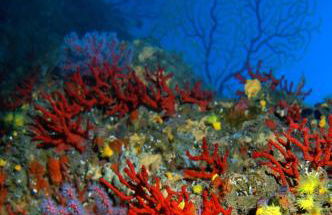 Casa Mariella - Foto 20