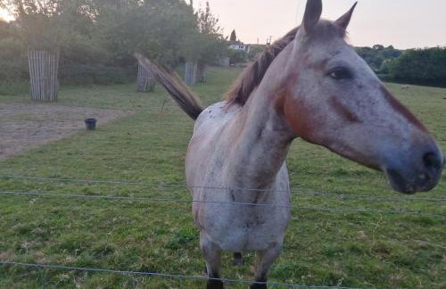 The Old Gasworks - Foto 34