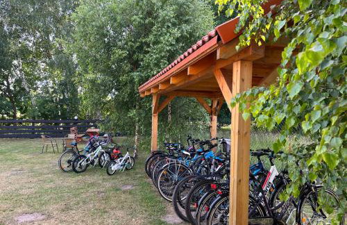 Słoneczne Dęby - Foto 13