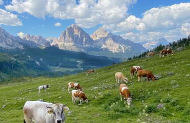 Casa delle Arti Fattoria dei fiori - Foto 59