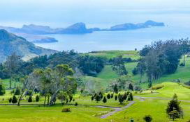 Viewpoint Machico - Lovely Nature View - Foto 32