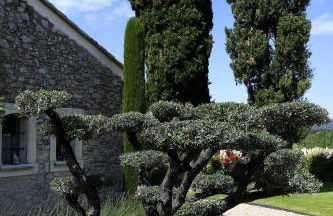 Gite des Demoiselles - Foto 35