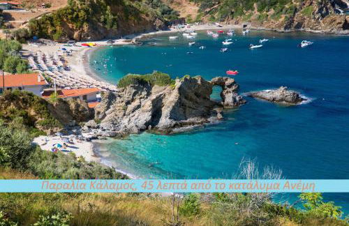 Ανέμη - Foto 33