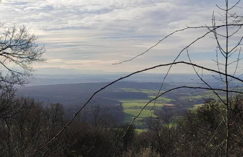 Kaiserberg-Apartments "Auf dem Hohenstaufen" - Foto 15
