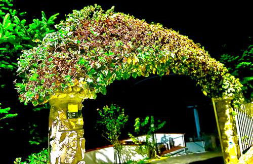 Casa Vacanza Paola Aurigo - Photo 22