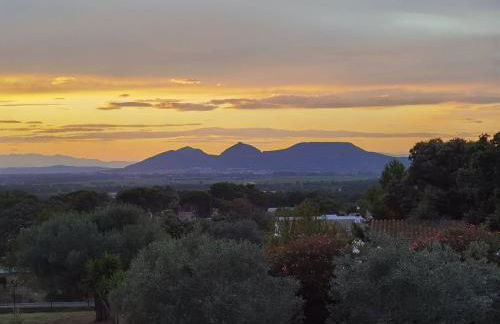 Can Costals Cerezo - Foto 40