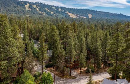 3mins to Lake, 5mins to Skiing Updated 4bdr Cabin Avalon Pines by Avantstay - Photo 51