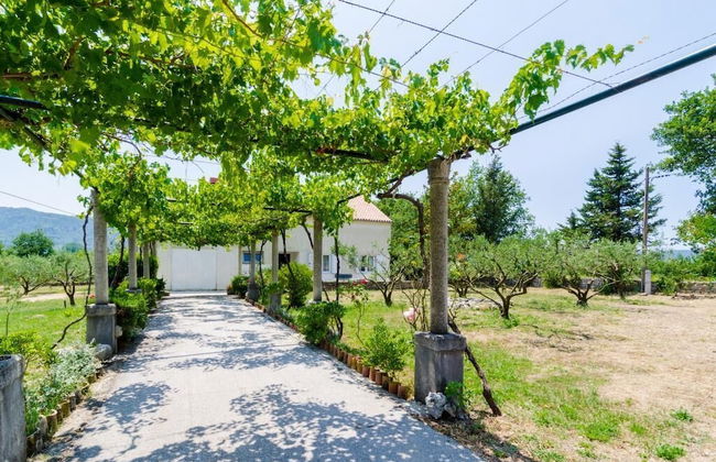 Holiday Home Field of Olives - Foto 31