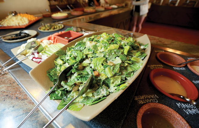 Tanque Verde Ranch - Photo 56