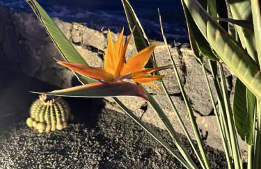 Villa Patos - Photo 42