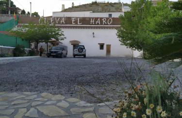 Cueva El Haro - Photo 33