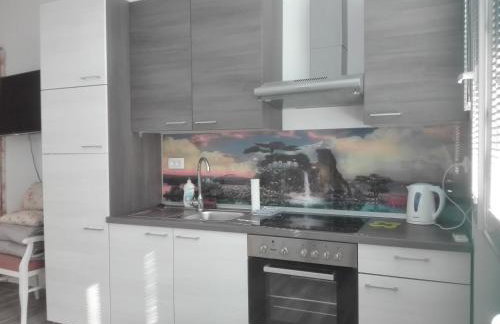 Apartment Cvjetna - Foto 28