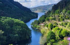 Douro Studio - Foto 2