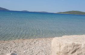 Oleander adria - Foto 35