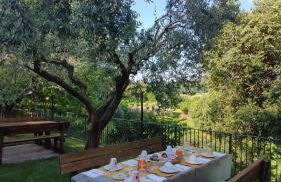 Colle Del Barbarossa - Foto 9