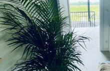 Hampton Zalew Zegrzyński - Foto 50