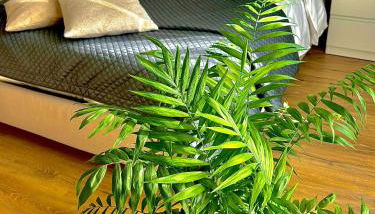 Casa del sole - Photo 2