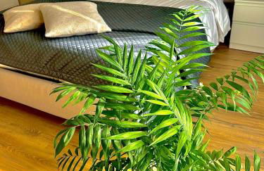 Casa del sole - Foto 2