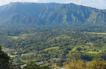 Kapaa Sands 10 - Foto 36