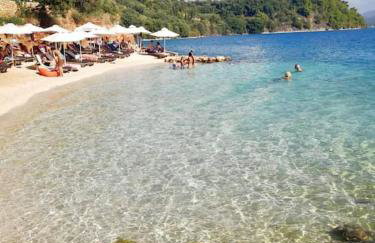 Olive Garden Studio - Foto 43