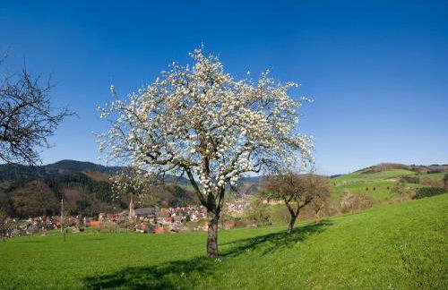 Ferienwohnungen Golla-lang - Foto 26