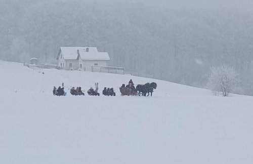 Siedlisko Radogoszcz, jacuzzi ,sauna - Foto 35