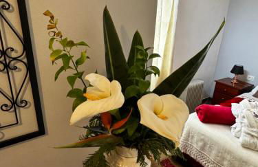 Casa colon - Foto 49