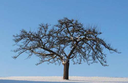 Holiday Home Jägerhaus by Interhome - Foto 29