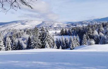 Gite d exception avec vue panoramique 4 personnes - Foto 31