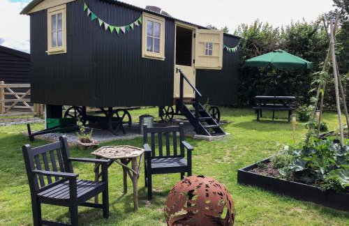 Beeches Shepherd Hut - Photo 2