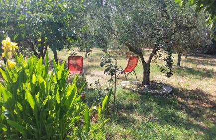 Apartments Vera Barbariga - Photo 17