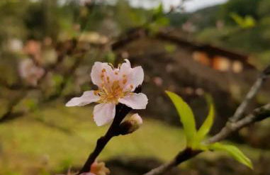 Visconde de Mauá Ksa de Varanda - Foto 28