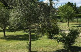 Villa Miranda - Foto 33