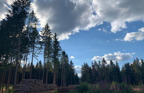 FaFeWo Ferienwohnungen mit Sternekomfort in Tanne Harz - Foto 49