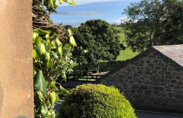 Cosy cottage in Snowdonia hamlet - Foto 8