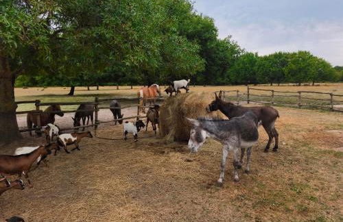 eco nature, gite à la ferme - Foto 27