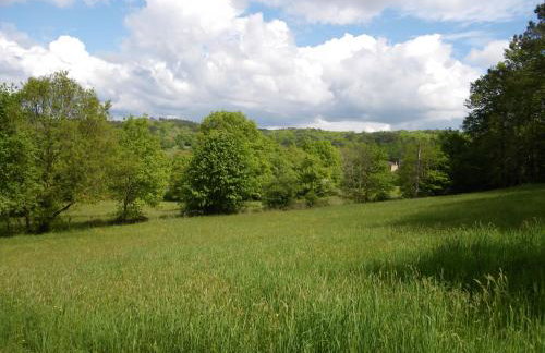 Retour aux sources - Foto 9