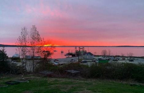 Eco-friendly studio - ocean views, close to beach - Foto 60