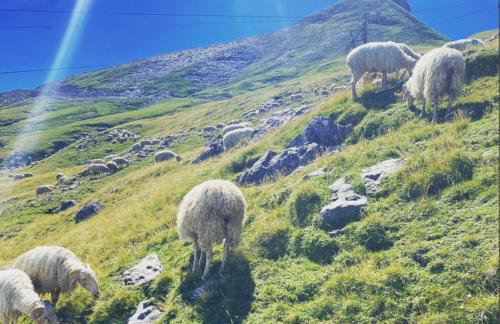 FLOR de MONTANHAS Appt vacances 4P- La Pierre St Martin GR10 - Foto 27