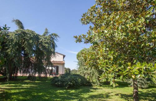 Fattoria Montignana - Foto 7
