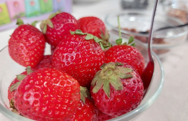 Masseria Trappeto - Foto 28