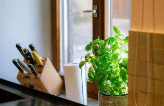 Alima der Hof - Apartment Mühlhans - Foto 24