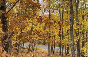 Paradise Uncovered Chalet Near Lake - Foto 43