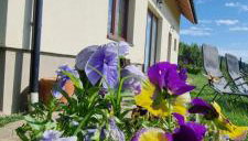 Noclegi u Babci Gieni - Foto 1, Garden