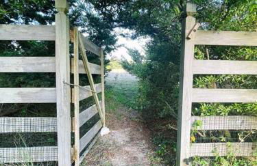 Dune Haus - Oceanfront w Hot Tub, Private Beach - Foto 27