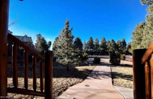 Cabin with Wild Horses, Fireplace, Dog Friendly & StarLink - Foto 14