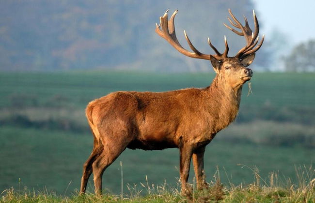 Unusual Hideaway in Lorraine - Photo 31