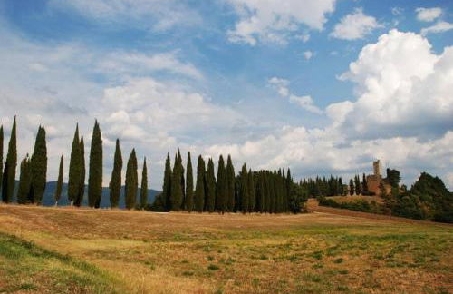 La Collina Tuscan stone cottage - Foto 23