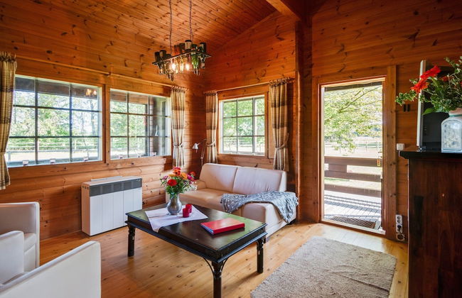 Ferienhaus in Eschede - Photo 16