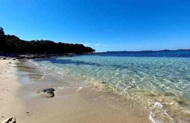 Yellow submarine - Photo 10